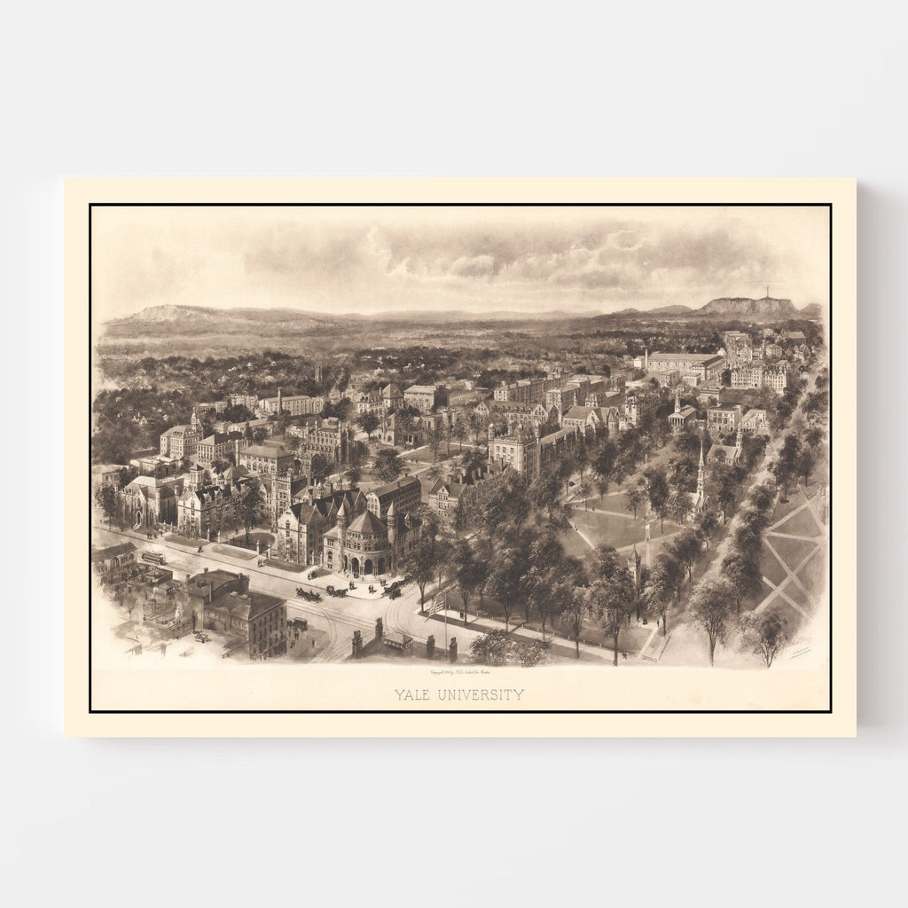 Vintage Map of Yale University, 1906