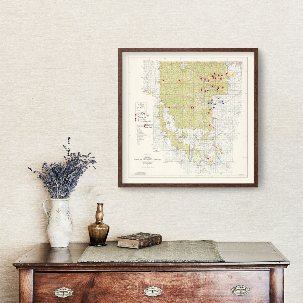 Vintage Black Hills National Forest Map 1962