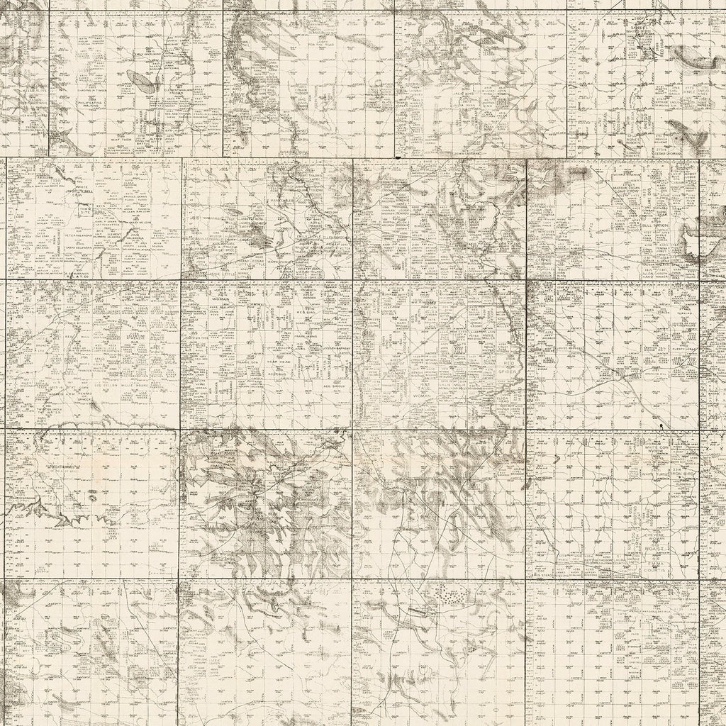 Vintage Map of Tripp County, South Dakota 1908
