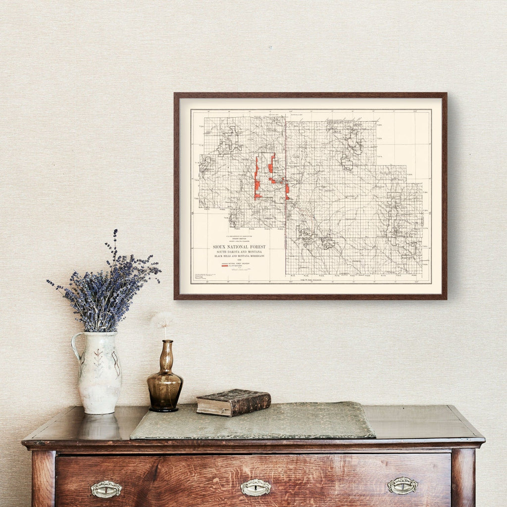 Vintage Sioux National Forest Map 1919