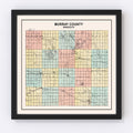 Vintage Map of Murray County, Minnesota 1907