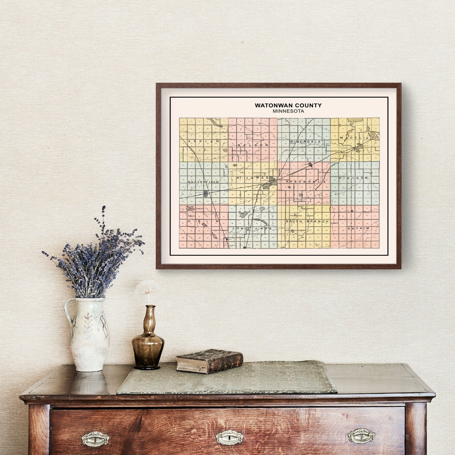 Vintage Map of Watonwan County, Minnesota 1907