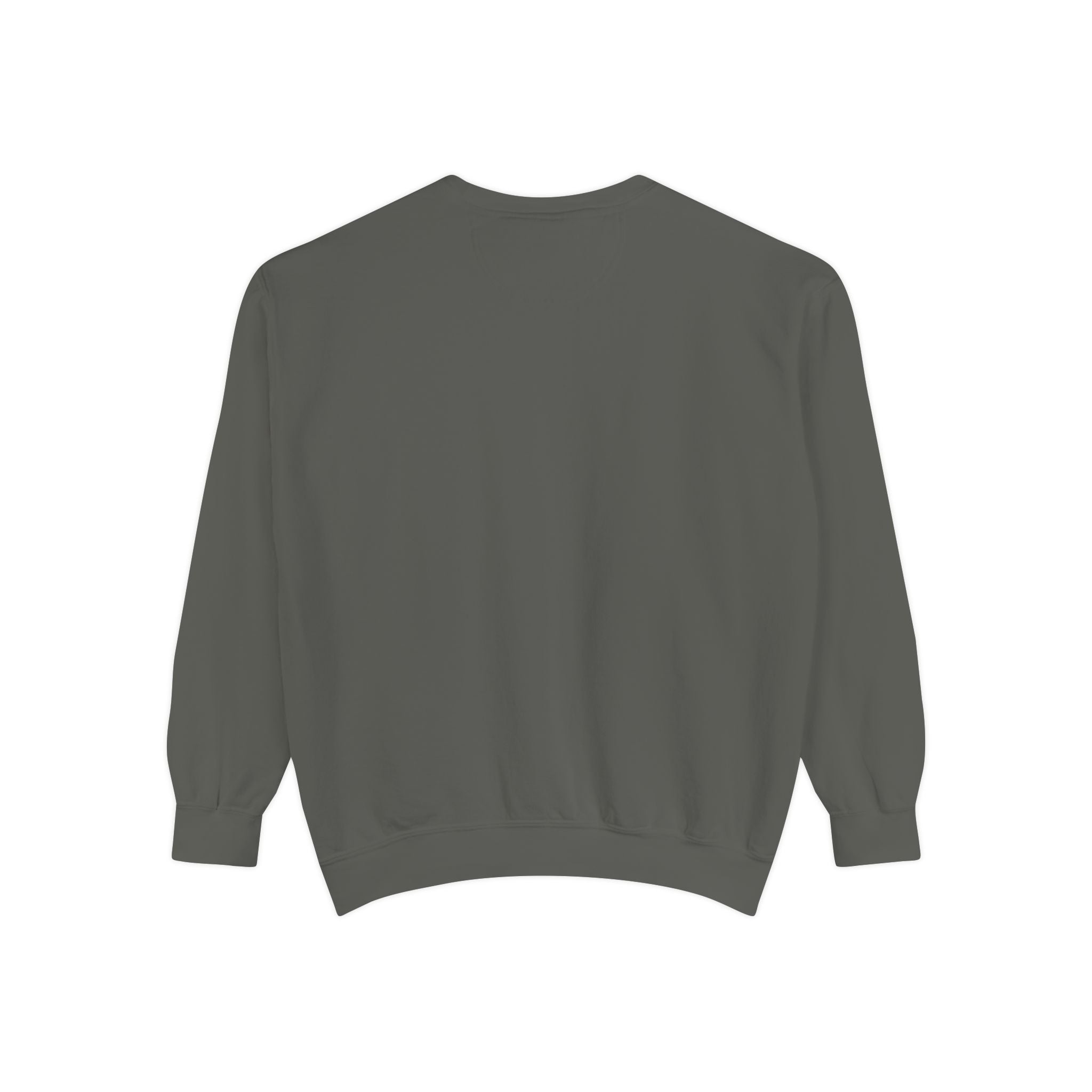 You Are The Beary Best Sweatshirt — Cute Thumbs-Up Bear Graphic