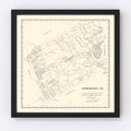 Vintage Map of Somervell County, Texas 1884