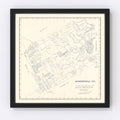 Vintage Map of Somervell County, Texas 1884
