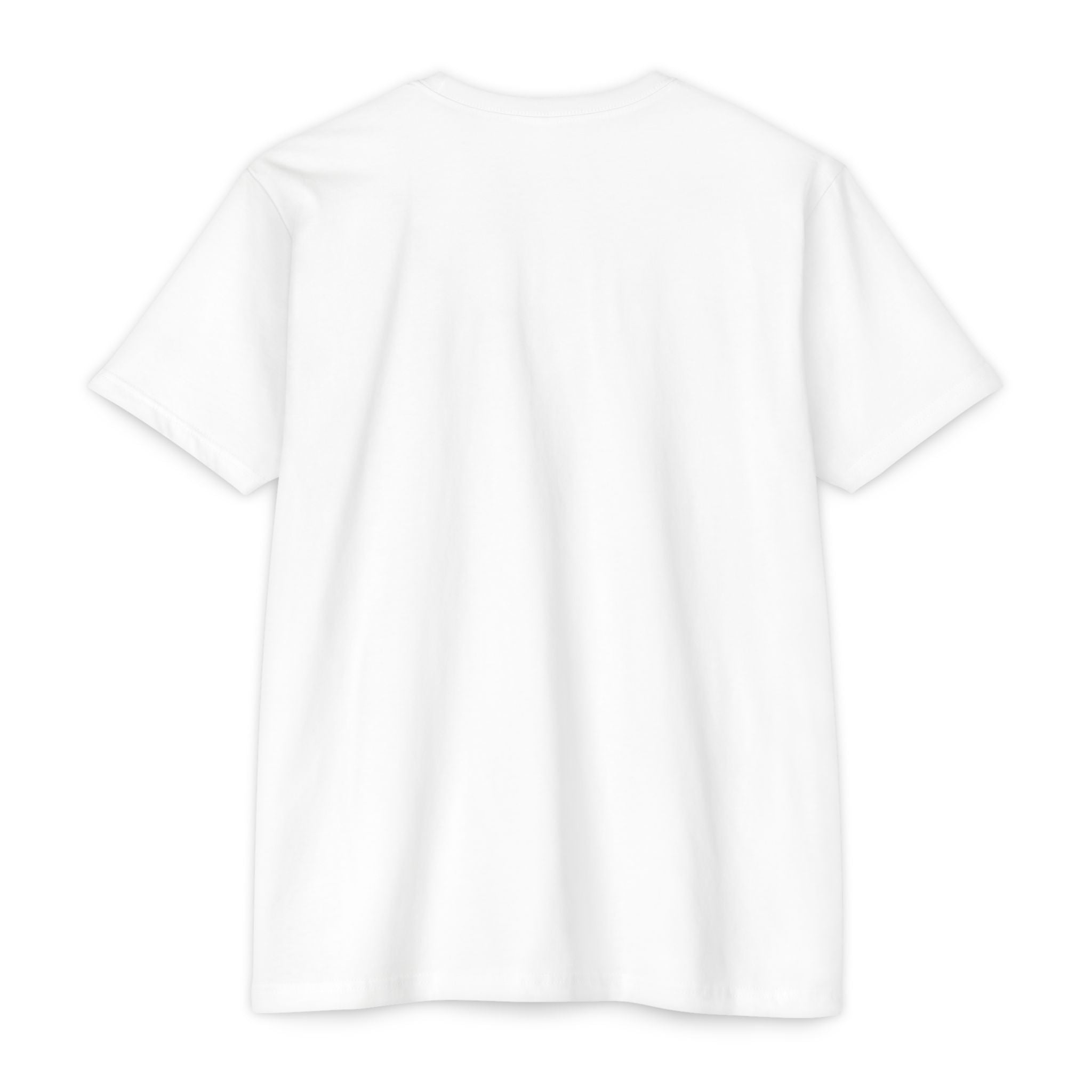 Sarcastic Quote T-Shirt — "I'd agree with you; But then we'd both be wrong" Graphic Tee