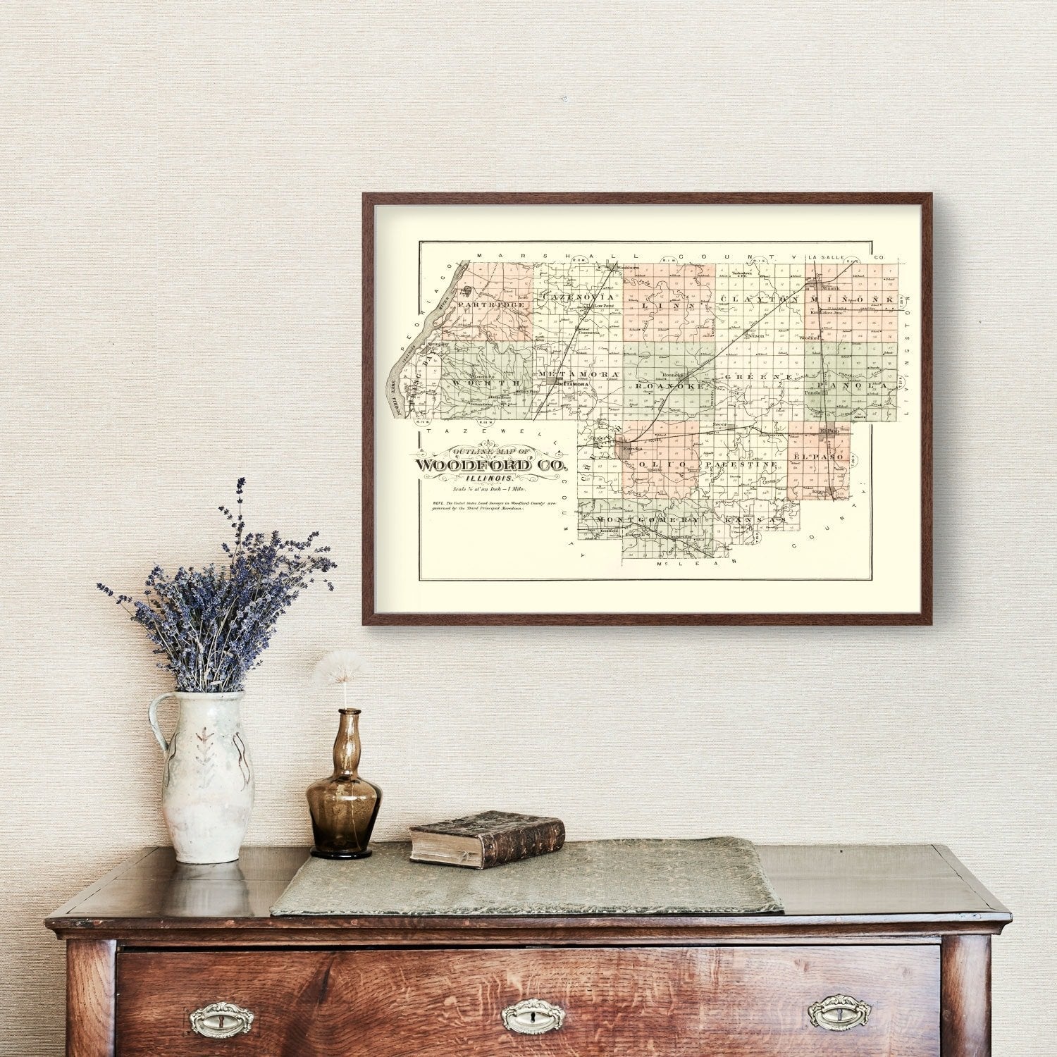 Vintage Map of Woodford County, Illinois 1893
