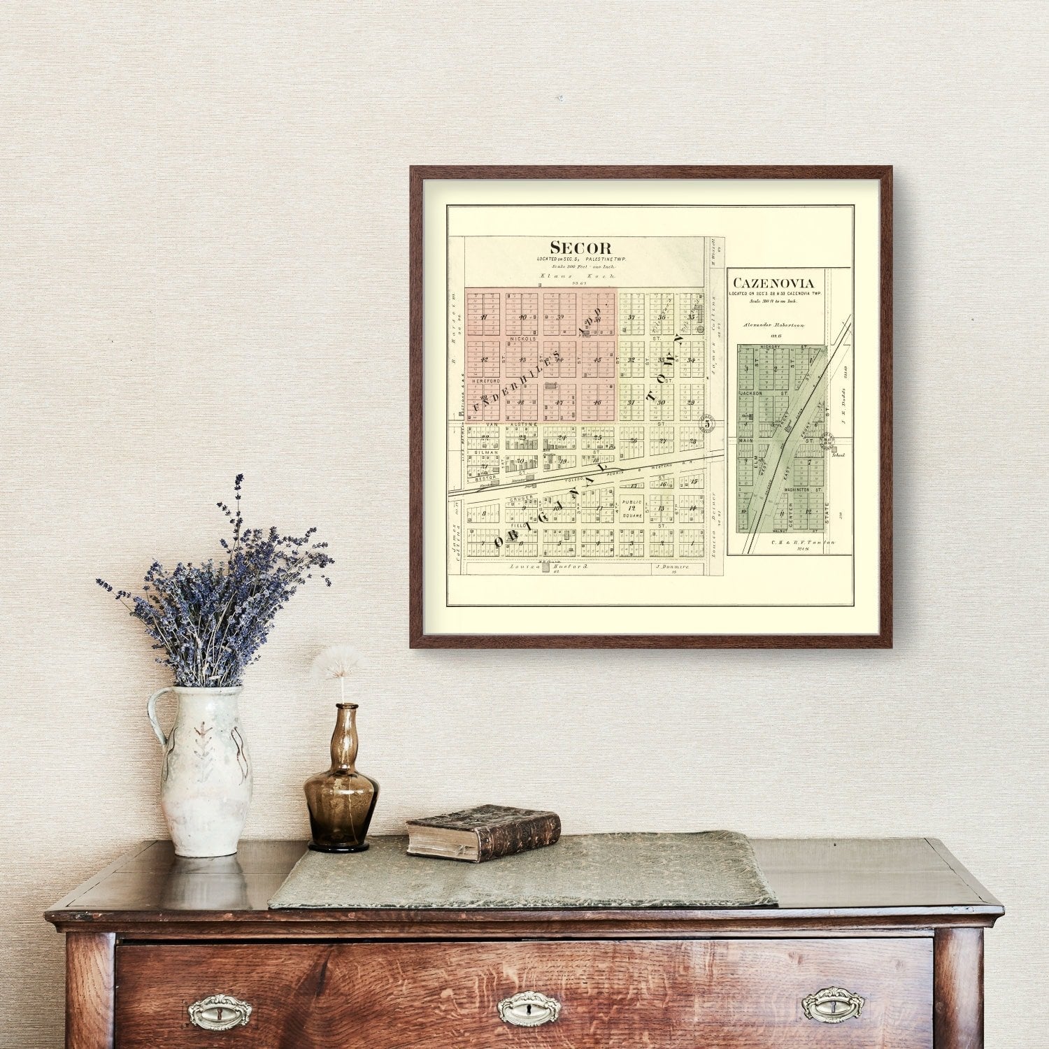 Vintage Map of Secor, Illinois 1893