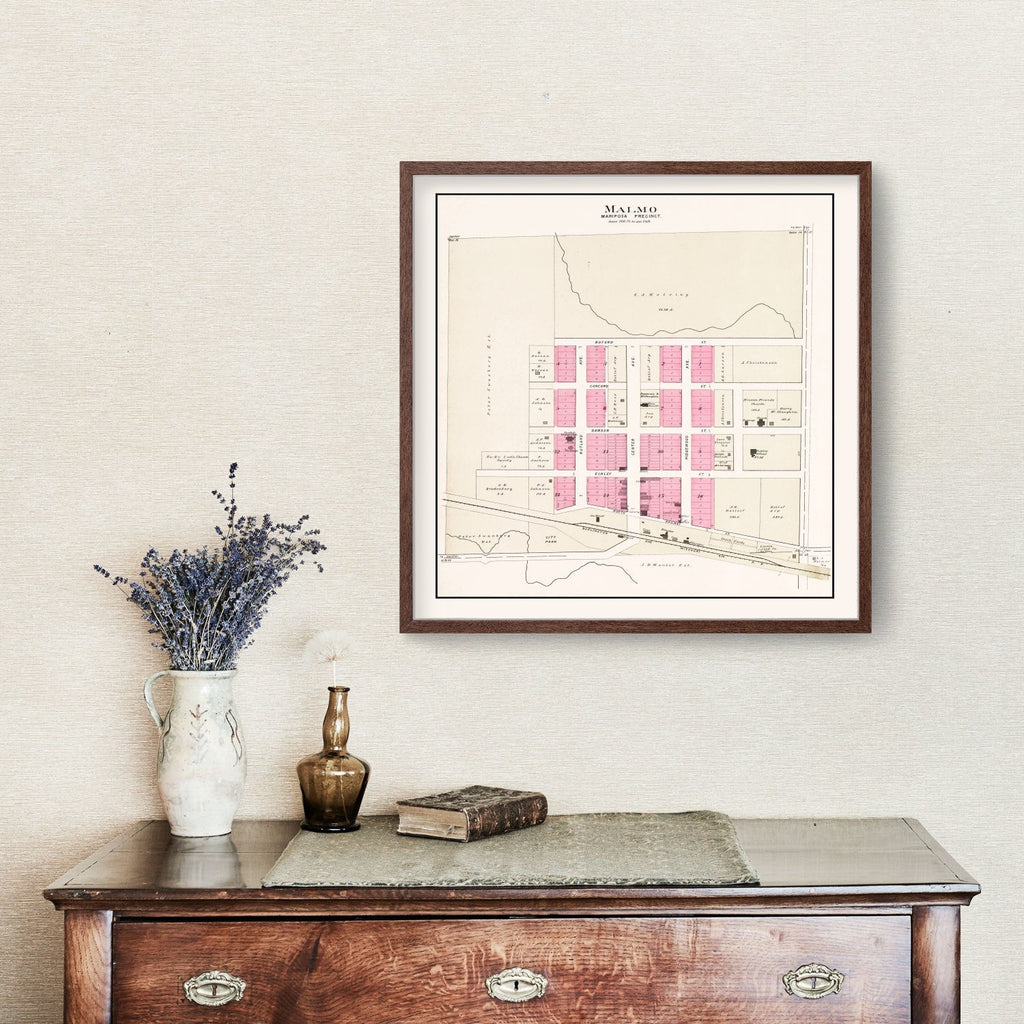 Vintage Map of Malmo, Nebraska 1907