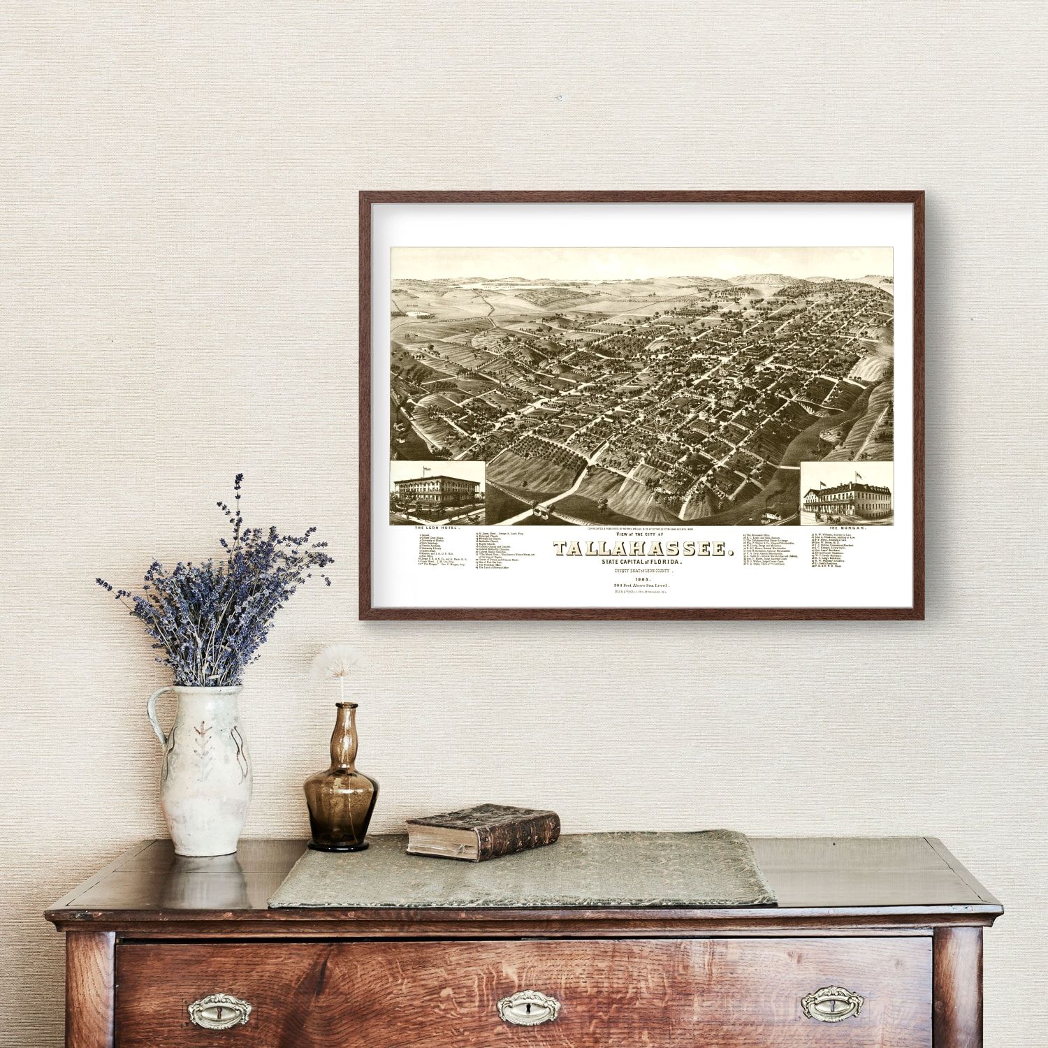 Vintage Map of Tallahassee, Florida 1885