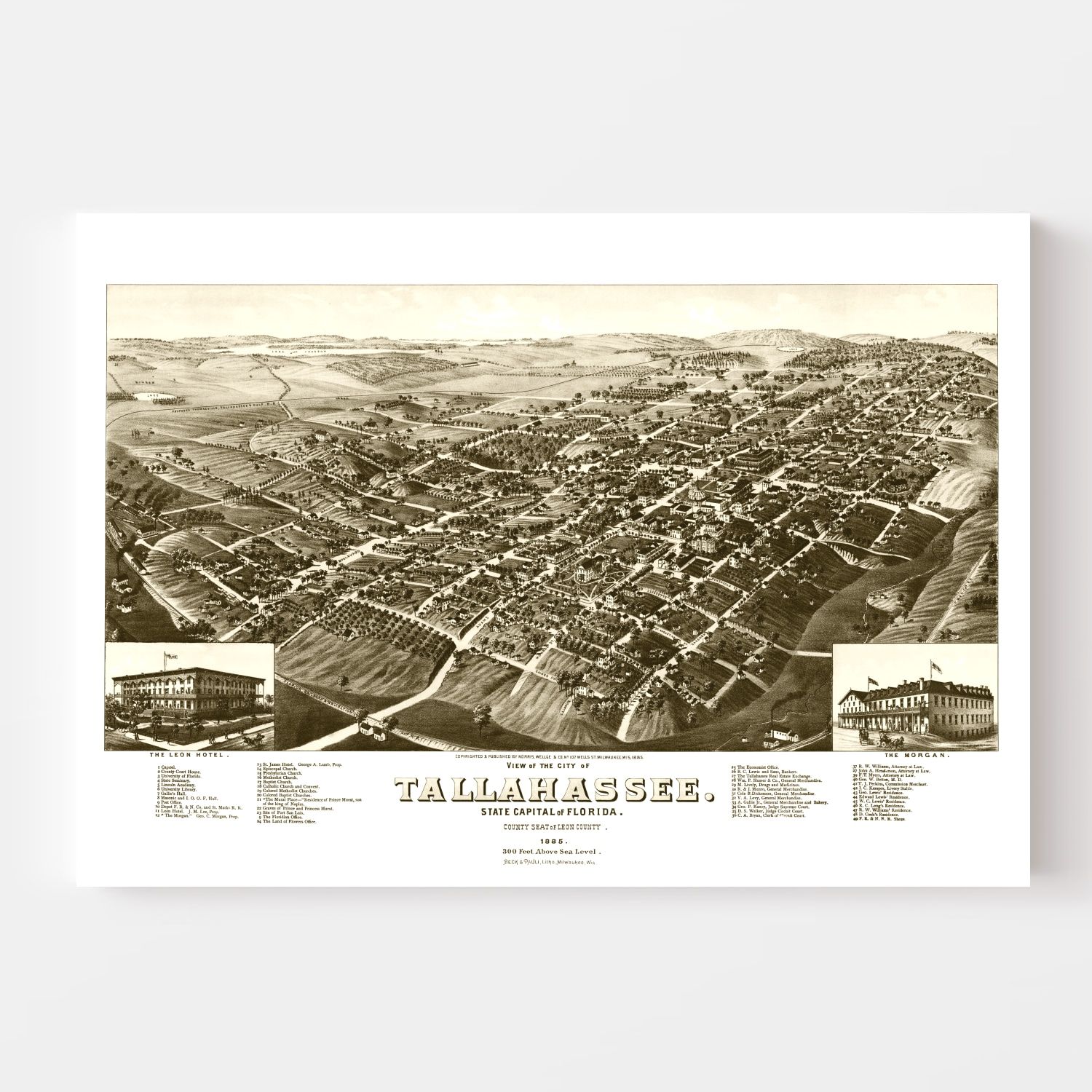 Vintage Map of Tallahassee, Florida 1885