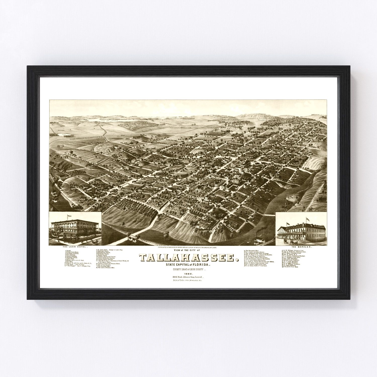 Vintage Map of Tallahassee, Florida 1885