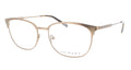 Primary 1133 Eyeglasses