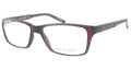 Primary Pn509 Eyeglasses