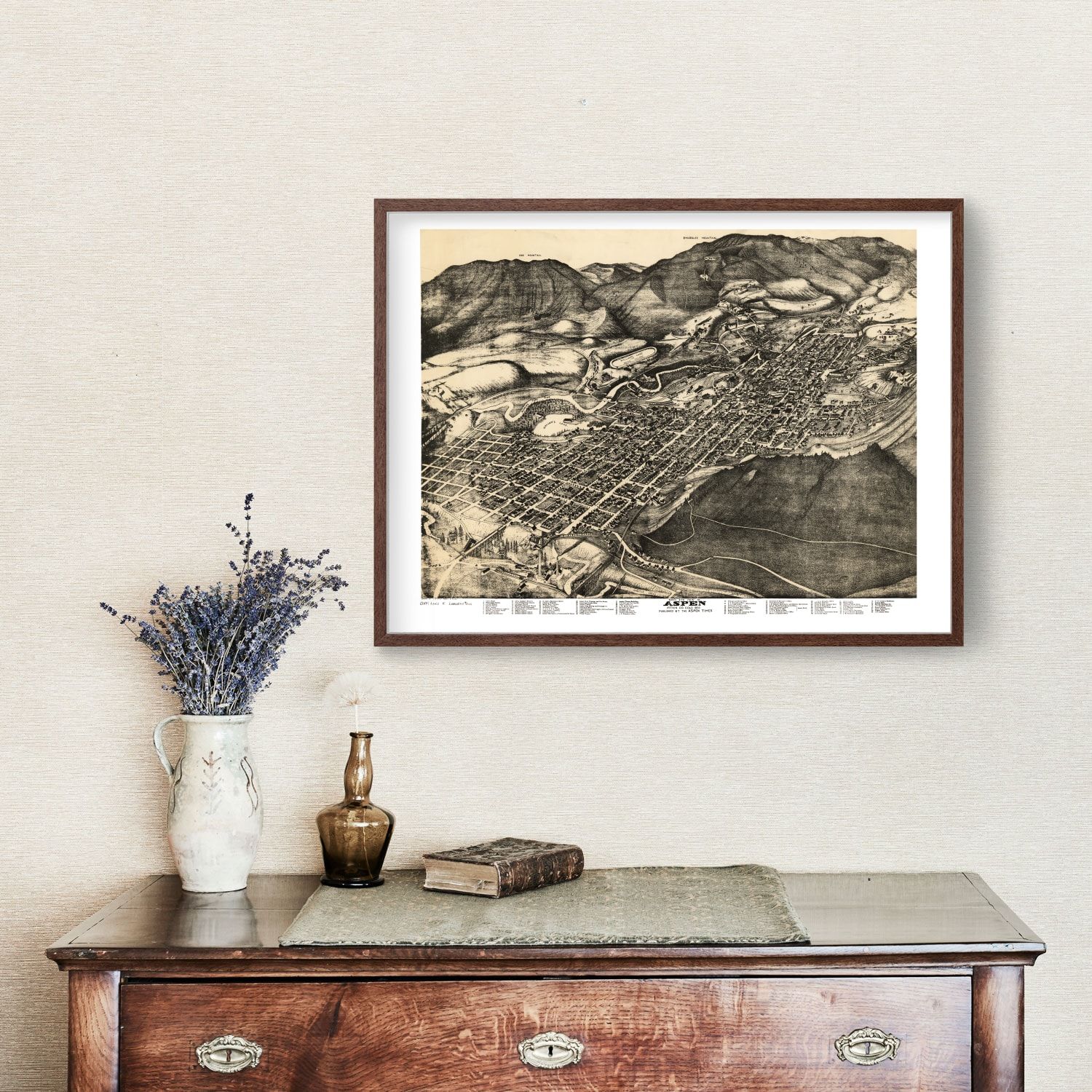 Vintage Map of Aspen, Colorado 1893