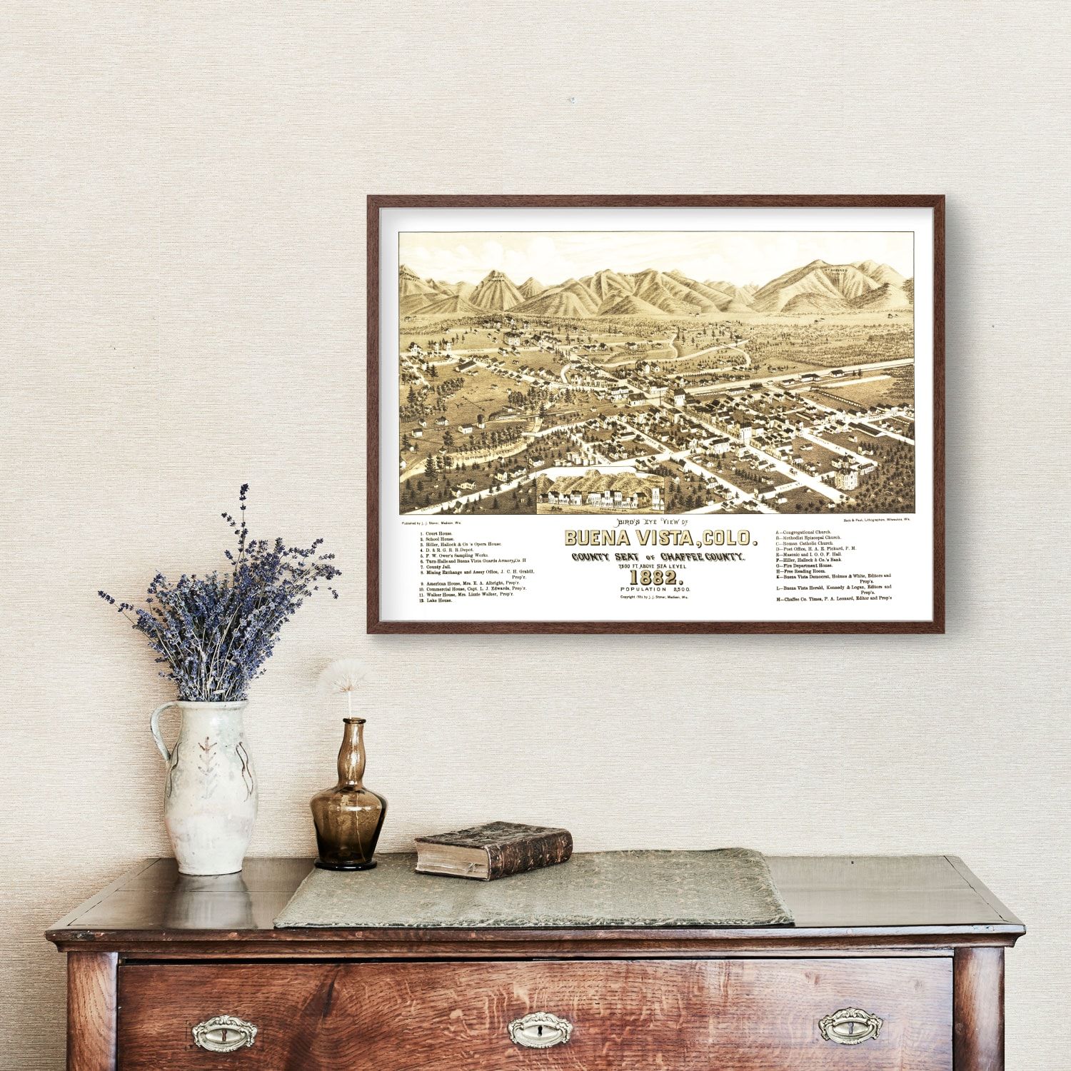 Vintage Map of Buena Vista, Colorado 1882