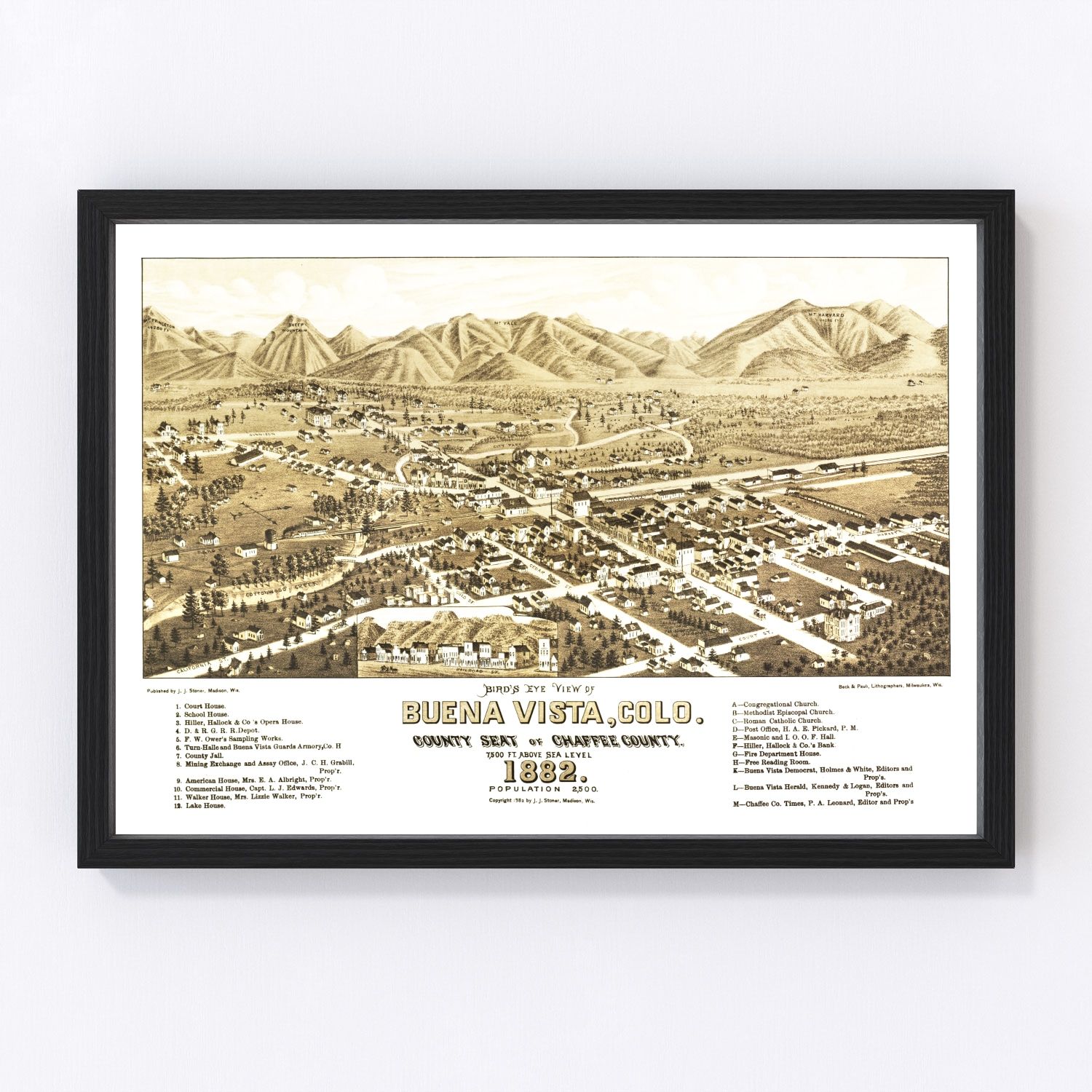 Vintage Map of Buena Vista, Colorado 1882