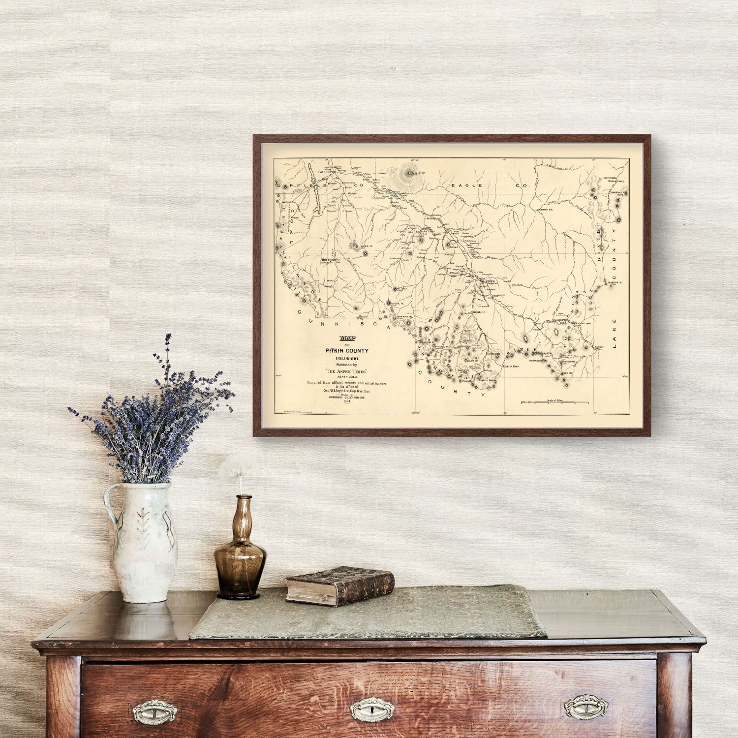 Vintage Map of Pitkin County, Colorado 1884