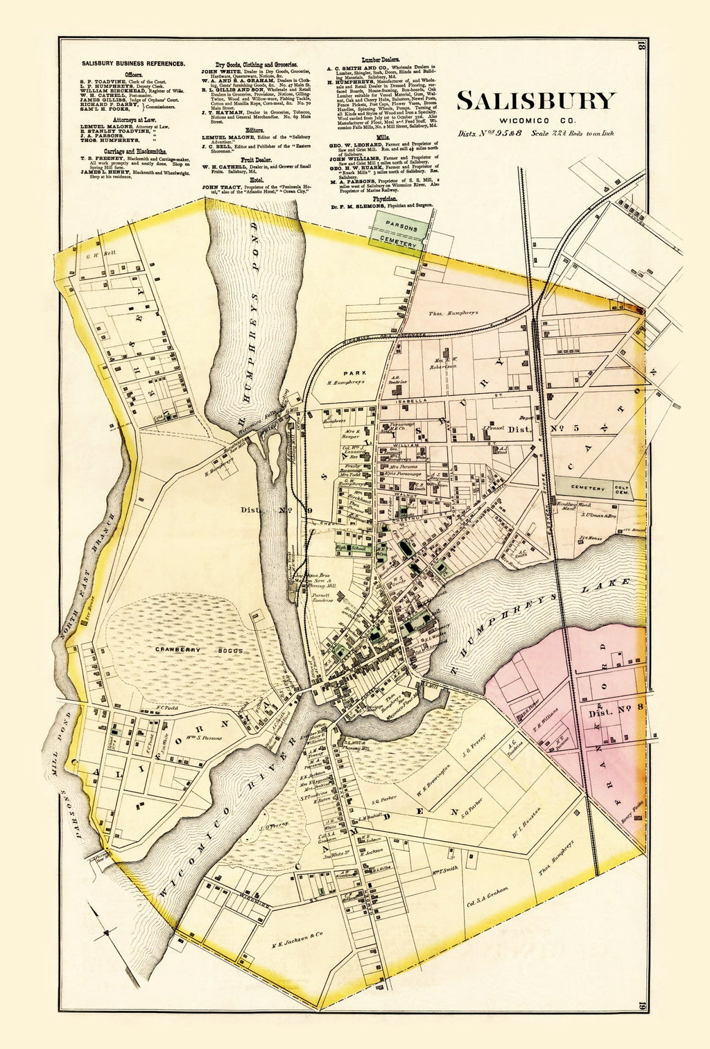 Vintage Map of Wicomico County, Maryland 1877
