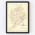 Vintage Map of Milam County, Texas 1879