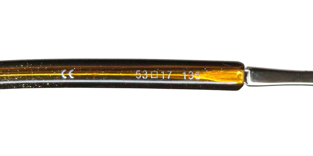 Platinum 421 Eyeglasses