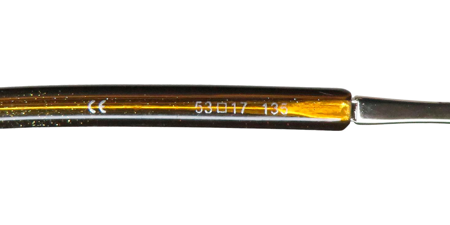 Platinum 421 Eyeglasses