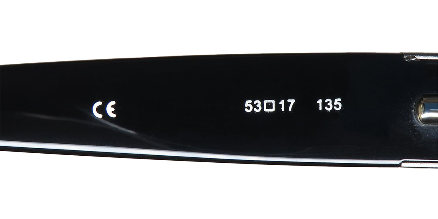 Luxe 349 Eyeglasses