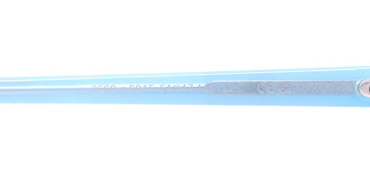 ProDesign Denmark 3660 Eyeglasses