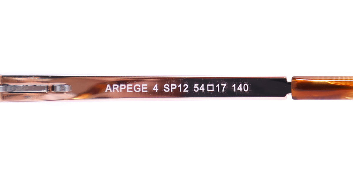 Morel Aprege 4 Eyeglasses