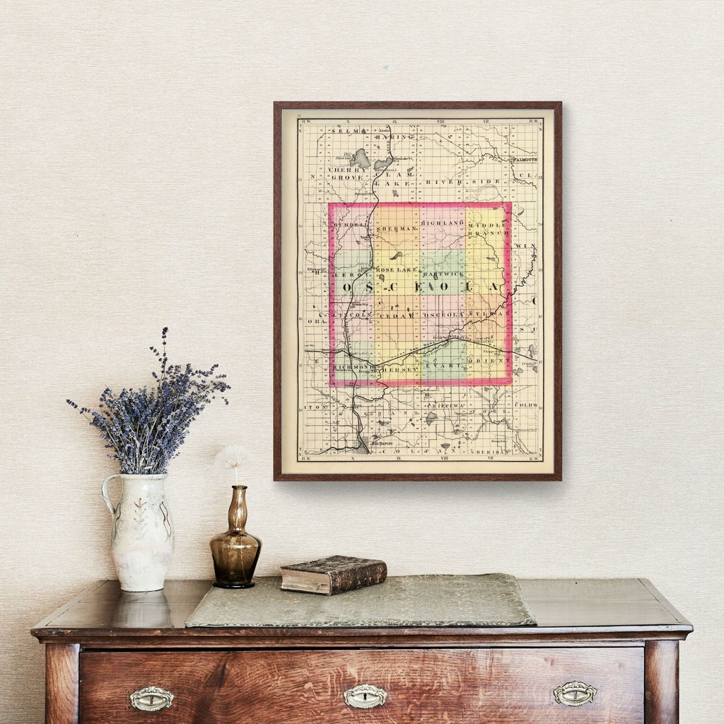 Vintage Map of Osceola County, Michigan 1873