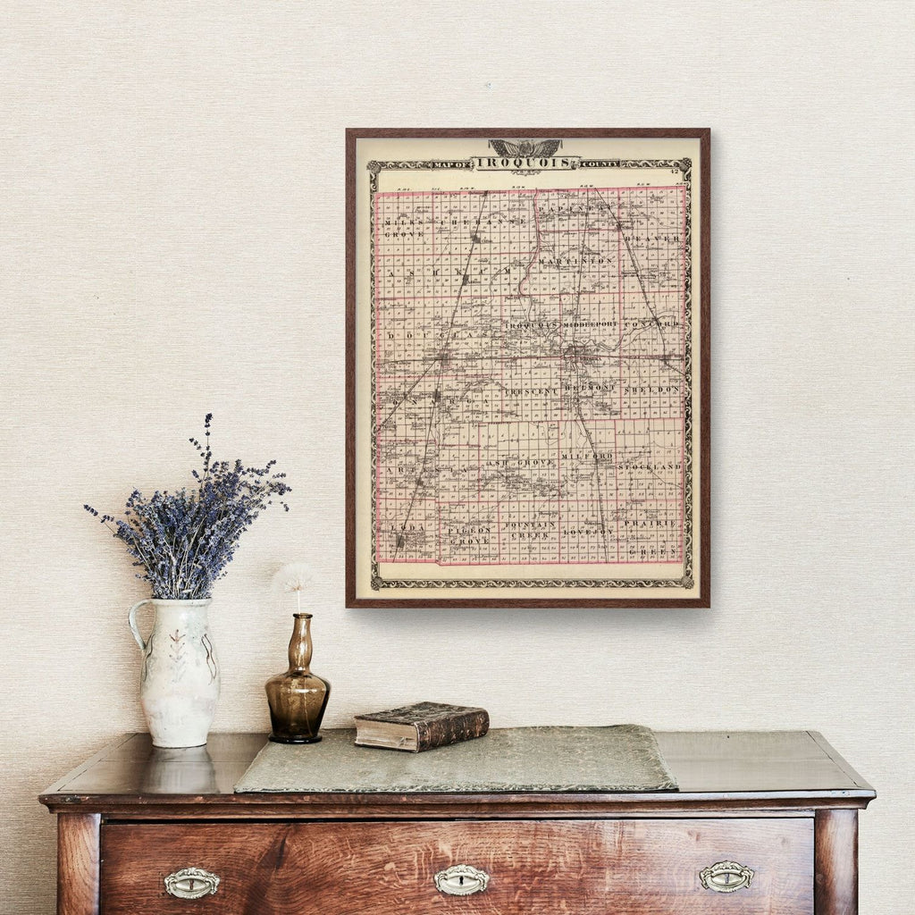 Vintage Map of Iroquois County, Illinois 1876