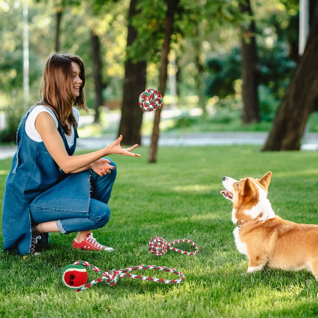 5-Pieces: Christmas Dog Rope Chew Toys