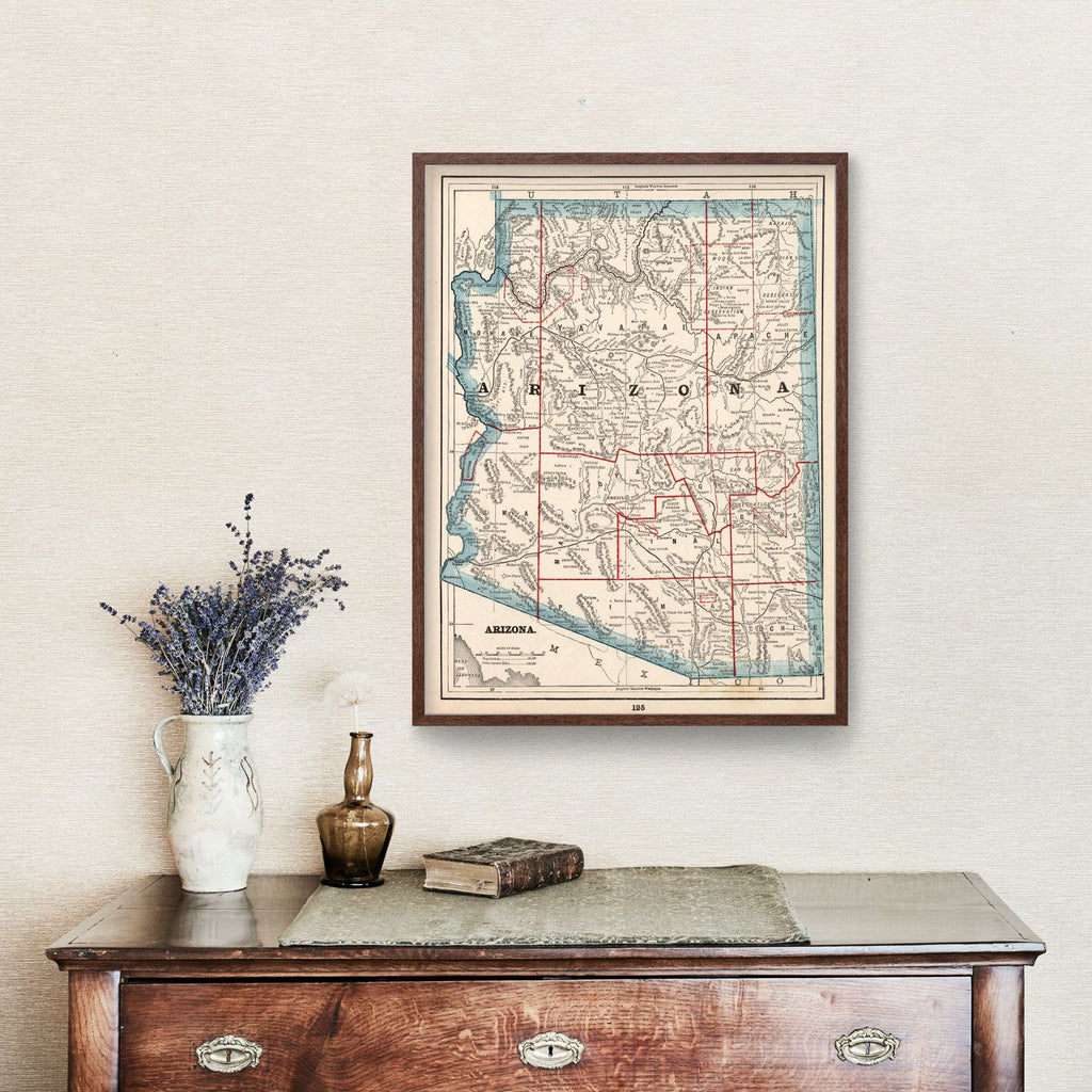 Vintage Map of Arizona 1893