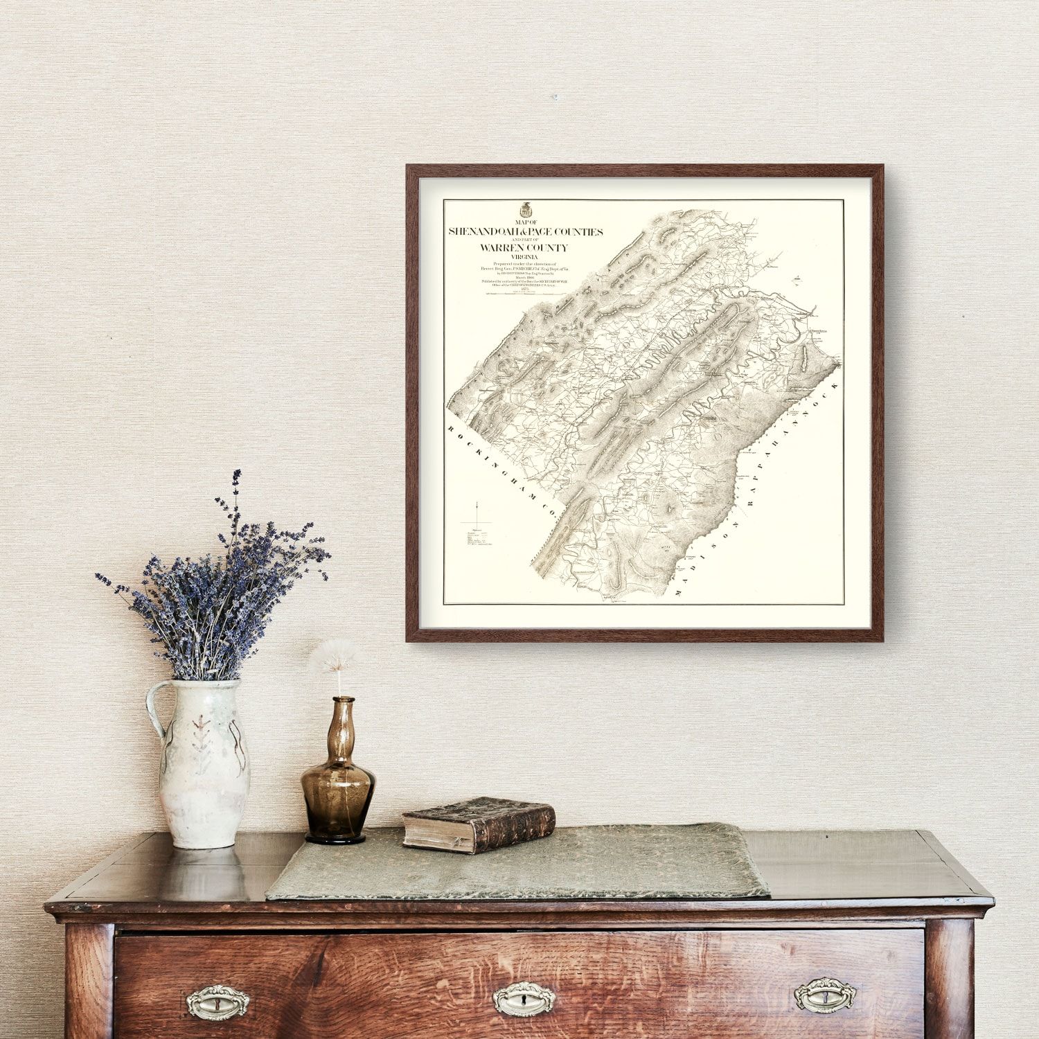 Vintage Map of Shenandoah & Page County, Virginia 1875