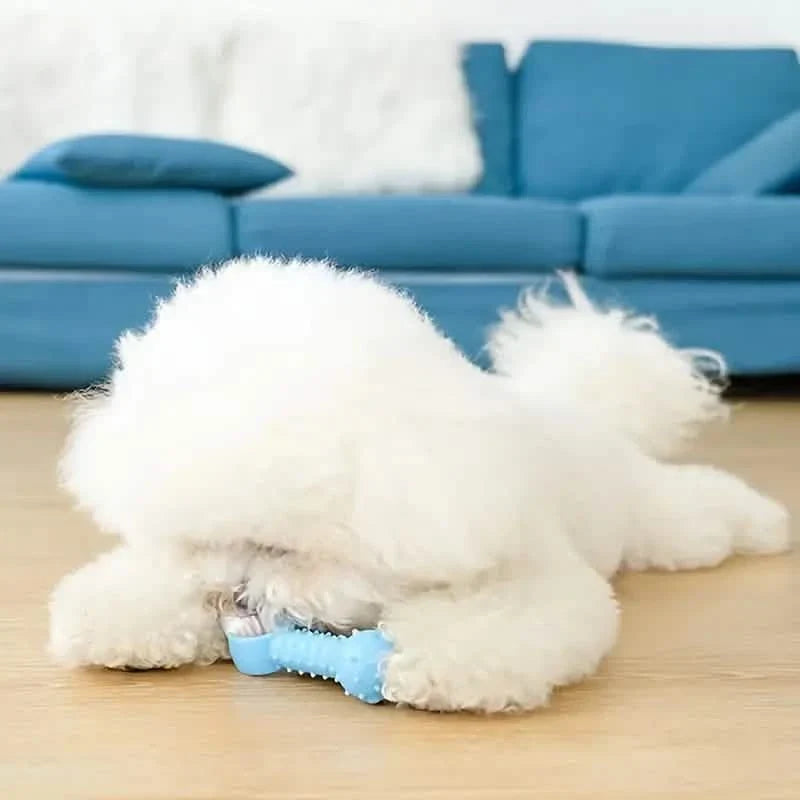 6-Pack: Puppy Teething Chew Toys with Interactive Ropes