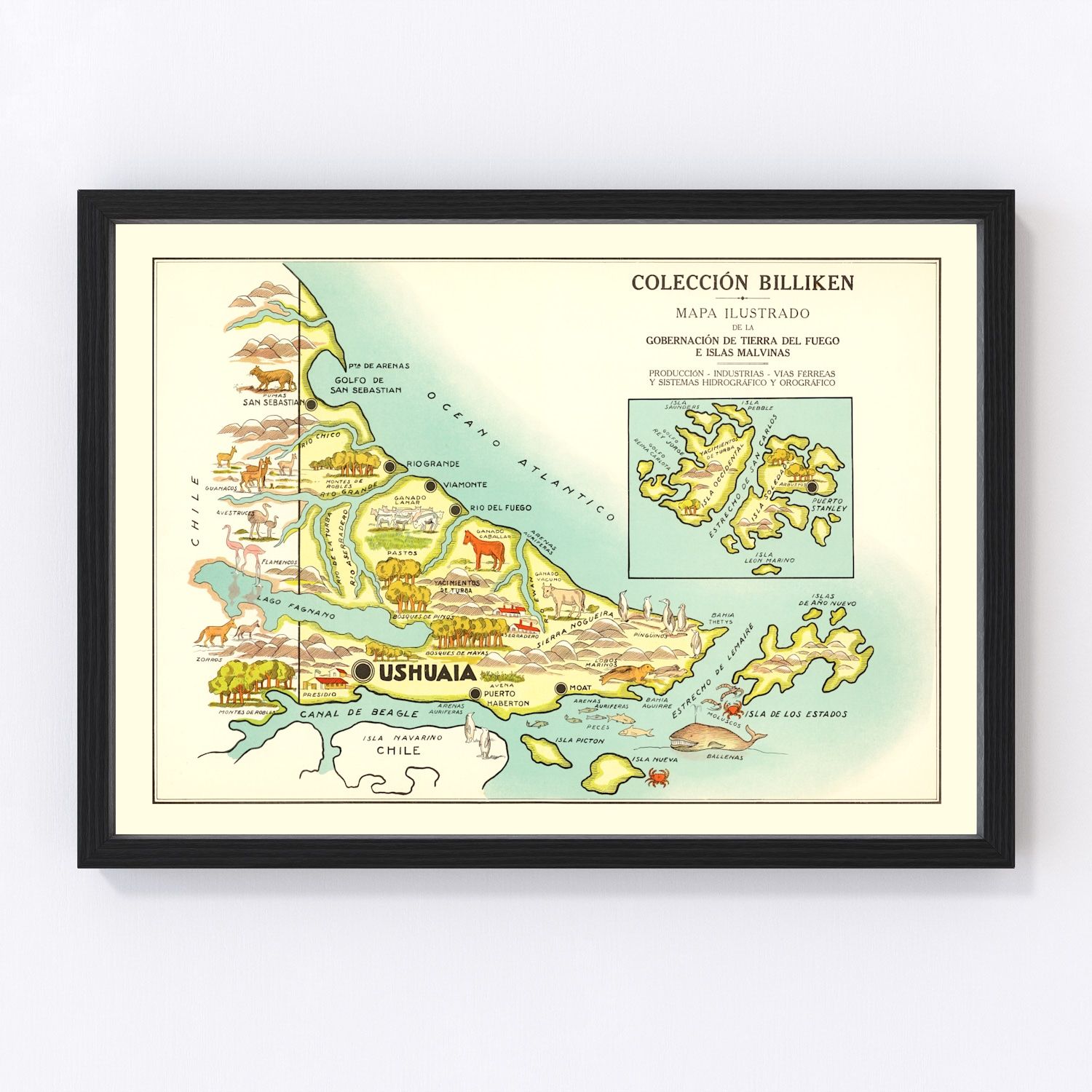 Vintage Map of Tierra del Fuego, 1933