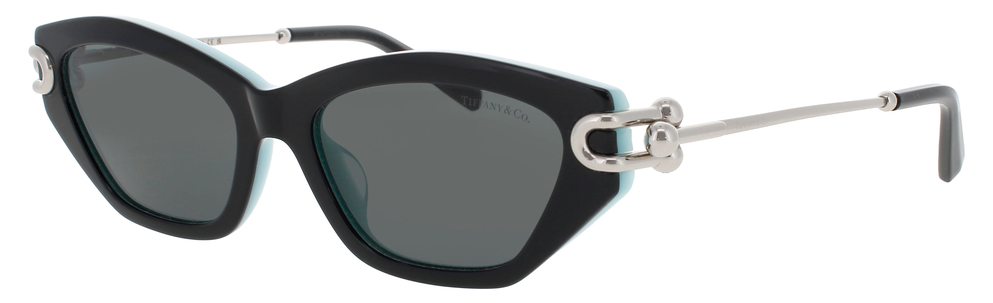 Tiffany & Co Tf4231u Sunglasses