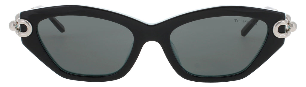 Tiffany & Co Tf4231u Sunglasses