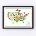 Vintage United States Flower Map, 1911