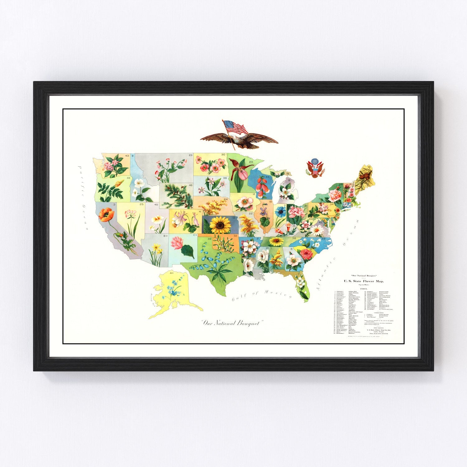 Vintage United States Flower Map, 1911