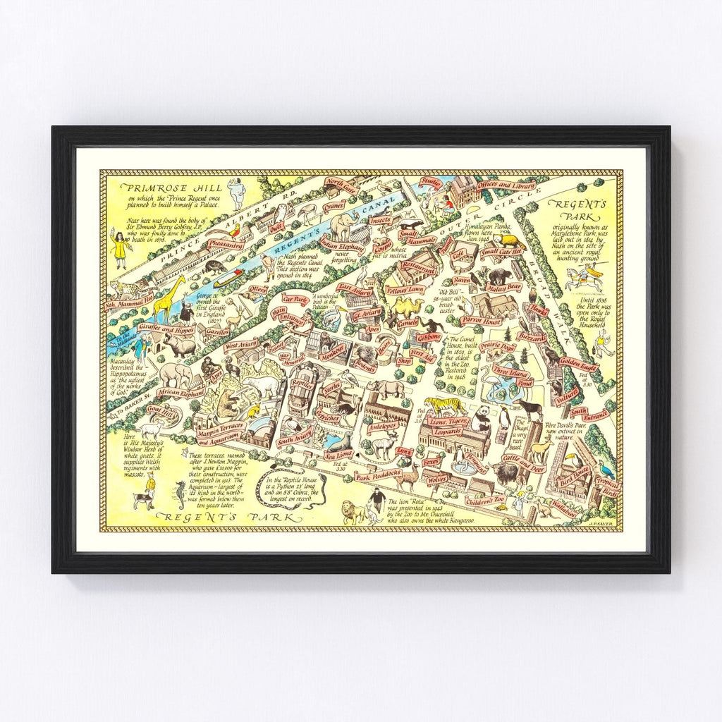 Vintage Map of Zoological Gardens Regent Park, 1947