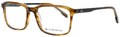 Quiksilver  Eyeglasses