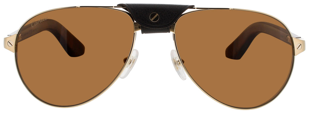 Cartier Ct0495s Sunglasses