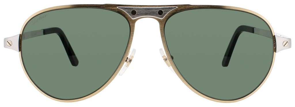 Cartier Ct0533s Sunglasses