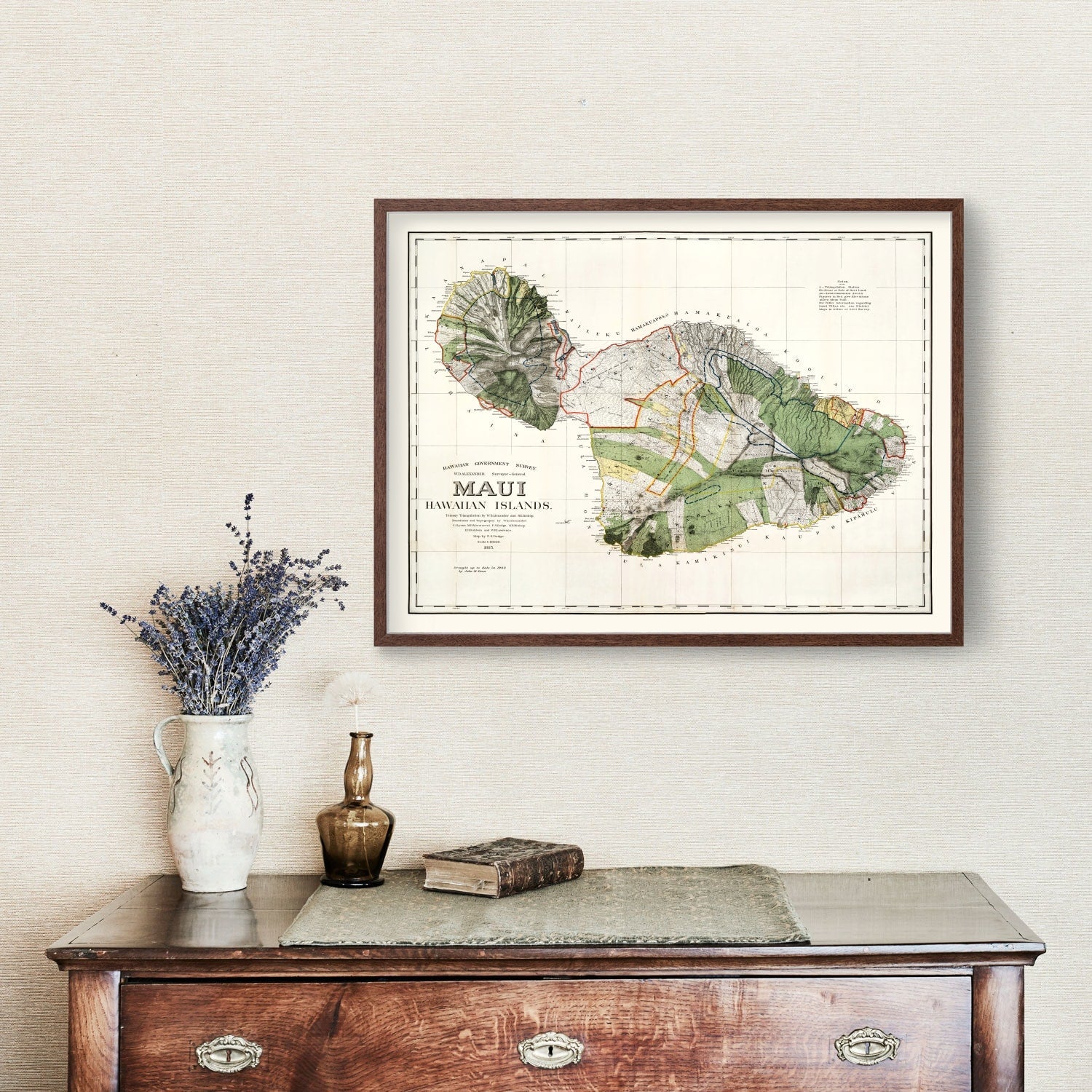 Vintage Map of Maui, 1903