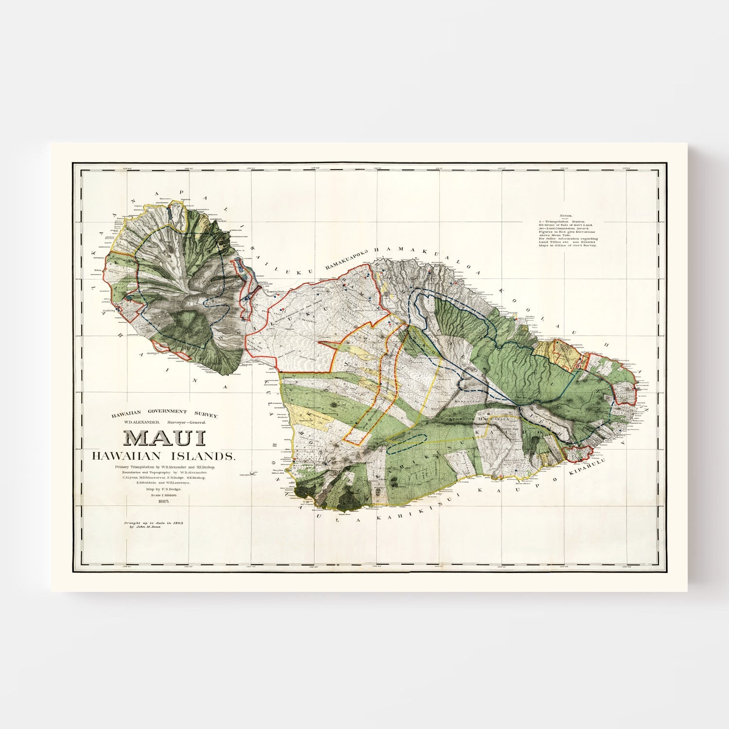 Vintage Map of Maui, 1903
