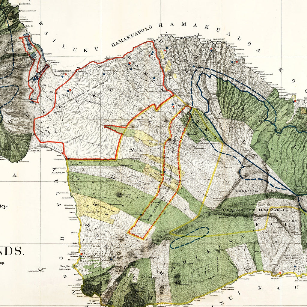 Vintage Map of Maui, 1903