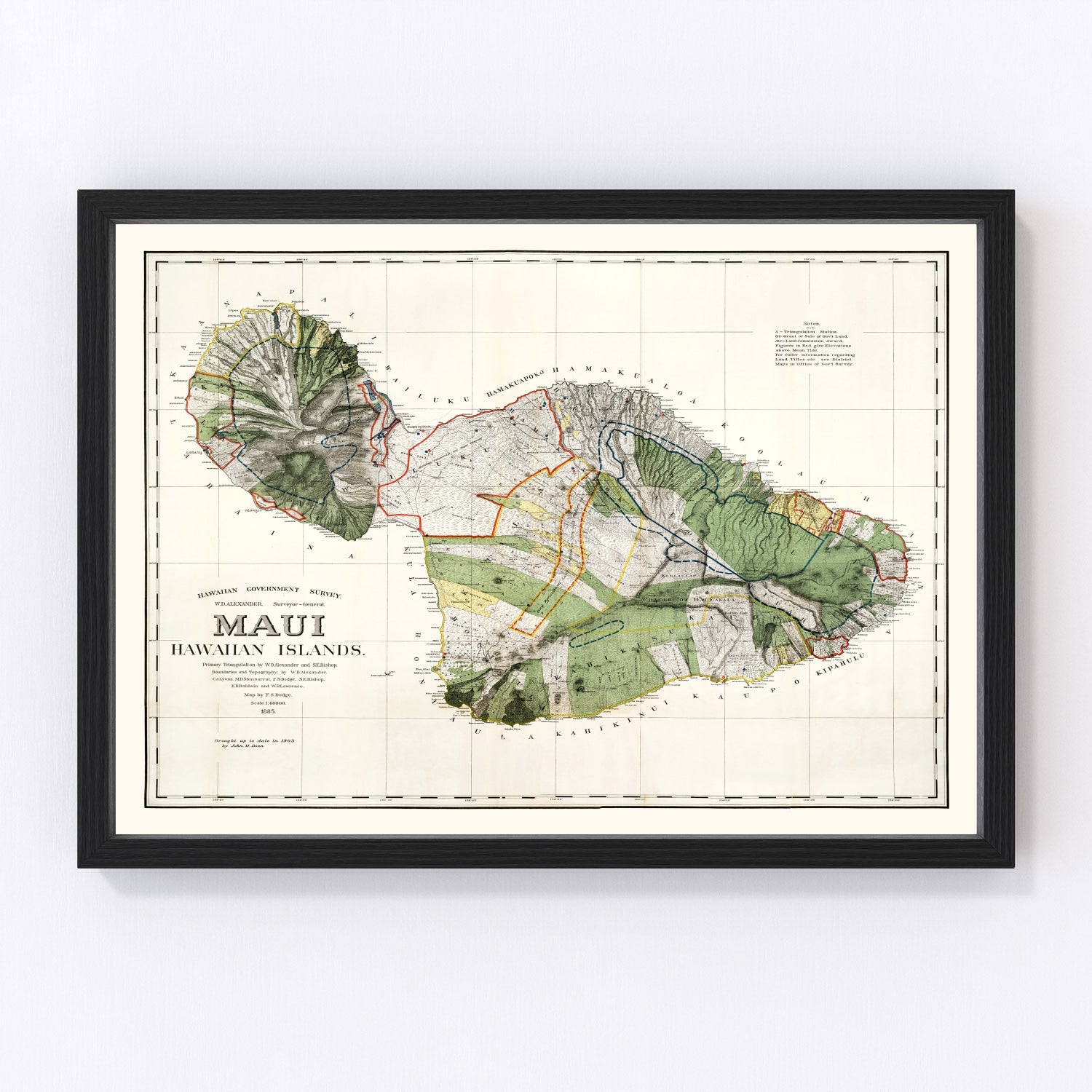 Vintage Map of Maui, 1903