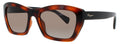 Salvatore Ferragamo Sf958s 214 Sunglasses