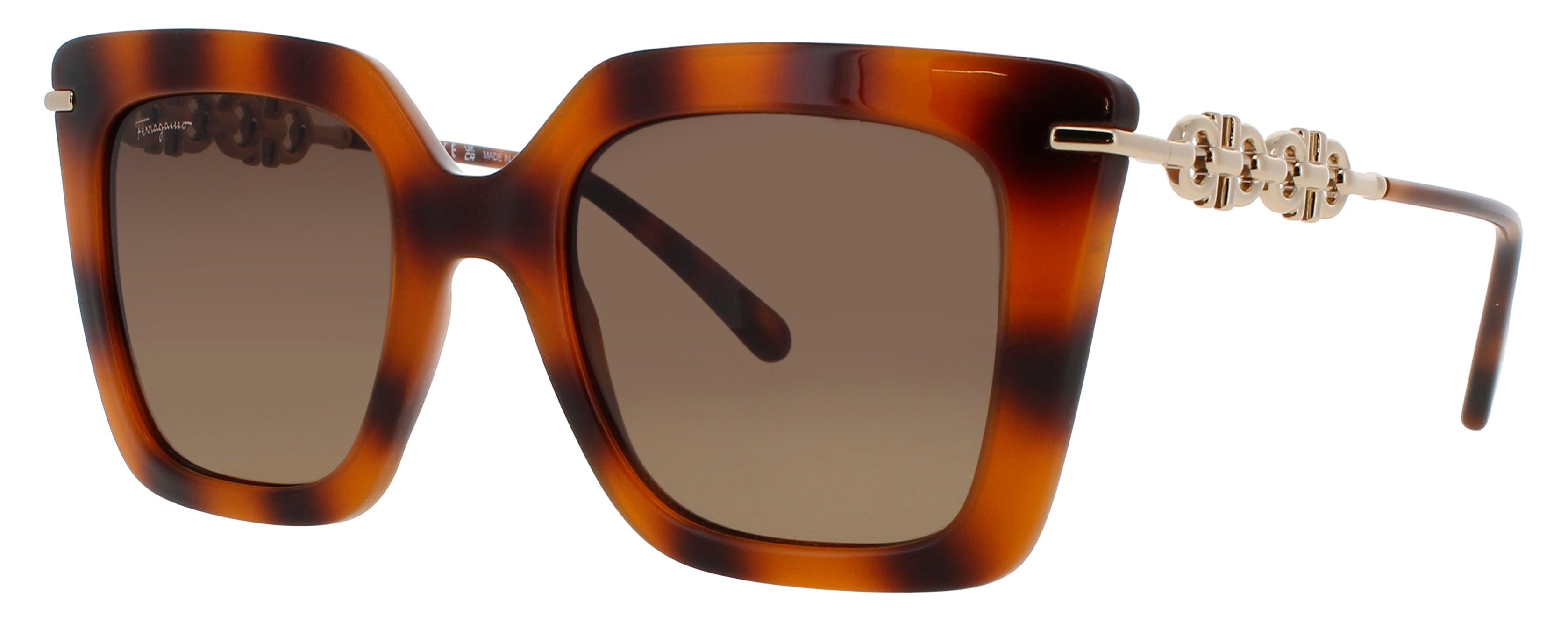 Salvatore Ferragamo Sf1041s Sunglasses